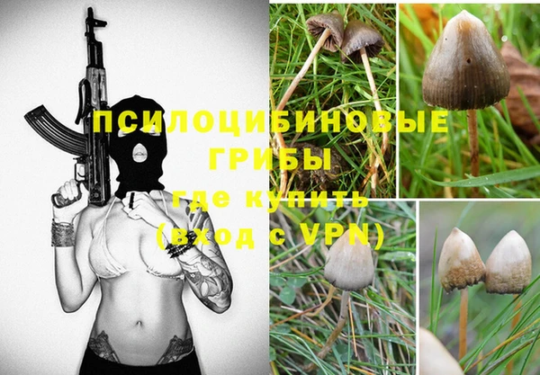 меф Алексин