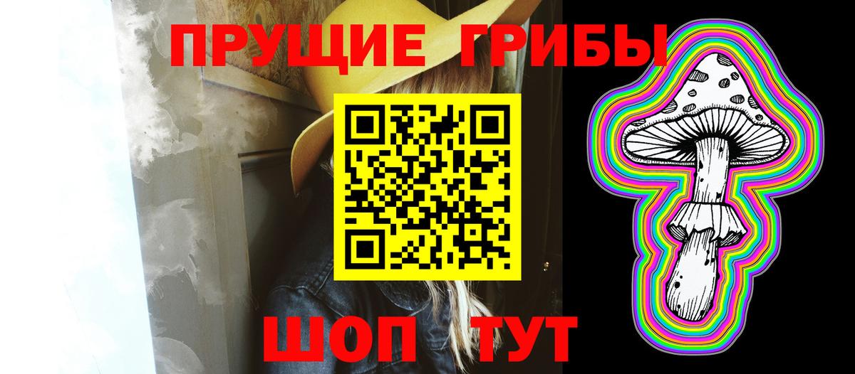 Псилоцибиновые грибы MAGIC MUSHROOMS  Вход с VPN  Бийск 